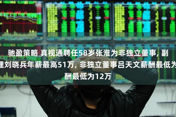 驰盈策略 真视通聘任58岁张淮为非独立董事, 副总经理刘晓兵年薪最高51万, 非独立董事吕天文薪酬最低为12万